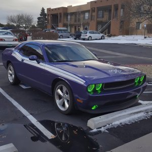 Dodge Challenger Headlight Halo Kit - ORACLE Lighting - LED Projector - Green - `08-`14